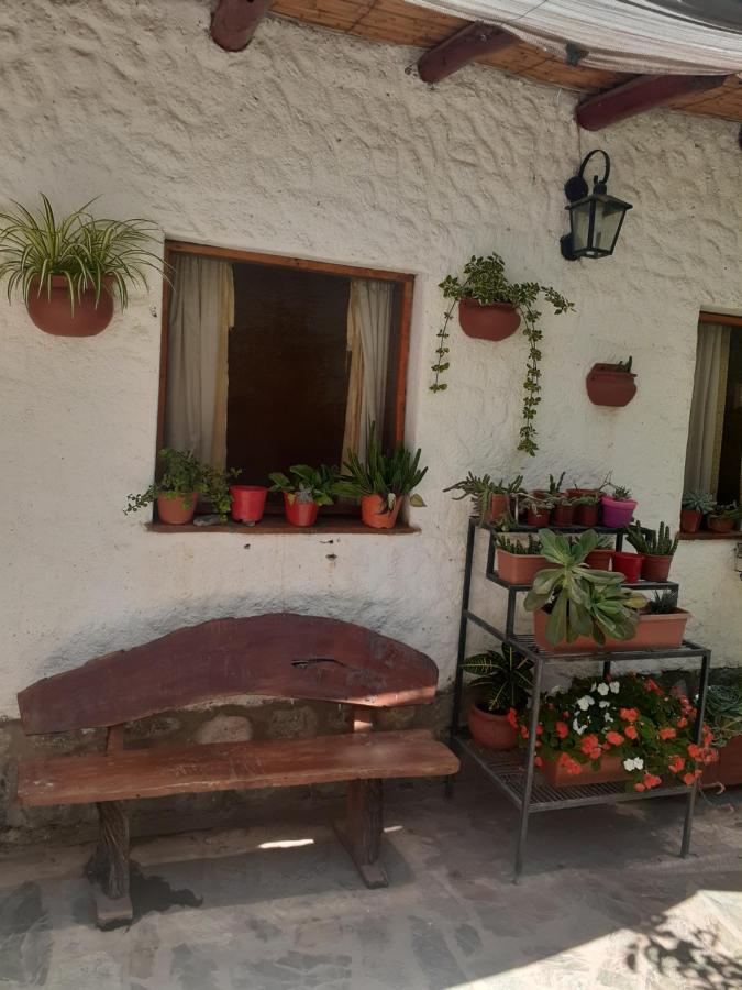Hostal Candelaria กาฟายาเต ภายนอก รูปภาพ